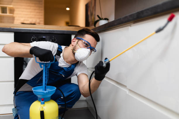Best Ant Control Services  in Cohoe, AK