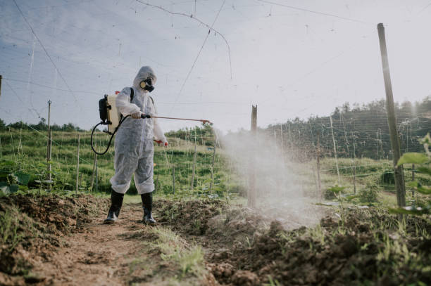 Best Pest Prevention Services  in Cohoe, AK