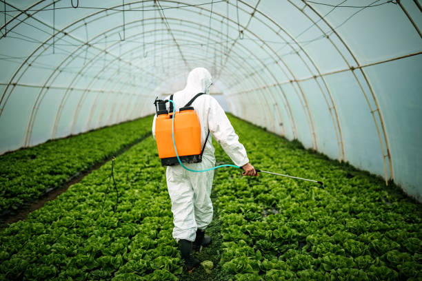 Best Pest Removal Services  in Cohoe, AK