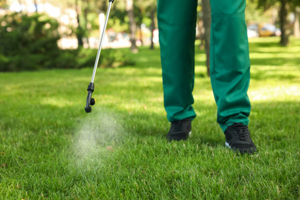 Pest Prevention Services in Cohoe, AK