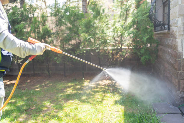 Best Insect Control  in Cohoe, AK