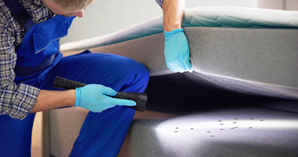 Best Affordable Pest Control Services  in Cohoe, AK
